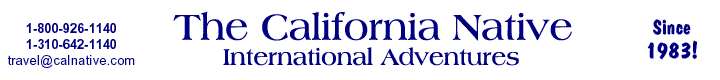 The California Native Travel Blog