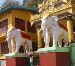 Statues of White Elephants