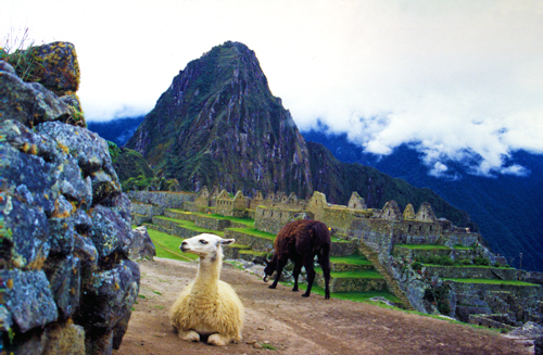 Overlooking Machu Picchu