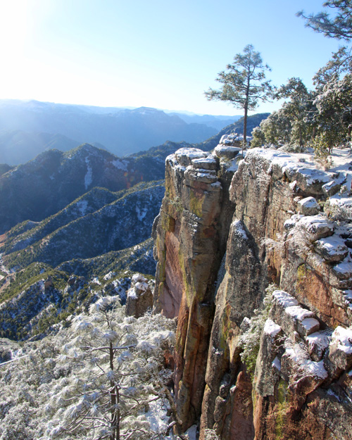 Snowy covered canyon in Copper Canyon. Photo by Harry Scott