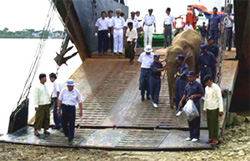 A white elephant is unloaded