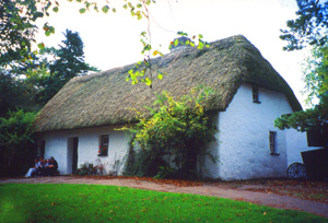 Traditional Irish cottage i house