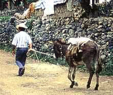 The town of Urique at the bottom of Copper Canyon