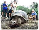 Galapagos Tours