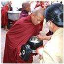 Young Buddhist Monk in Myanmar