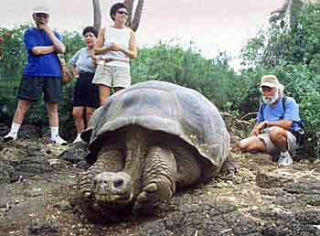 California Native group visits Galapagos tortoise