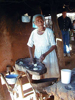 Mayo Indian Woman