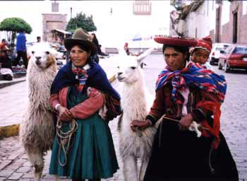 Incas and Llamas