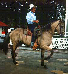 Tico on Horse